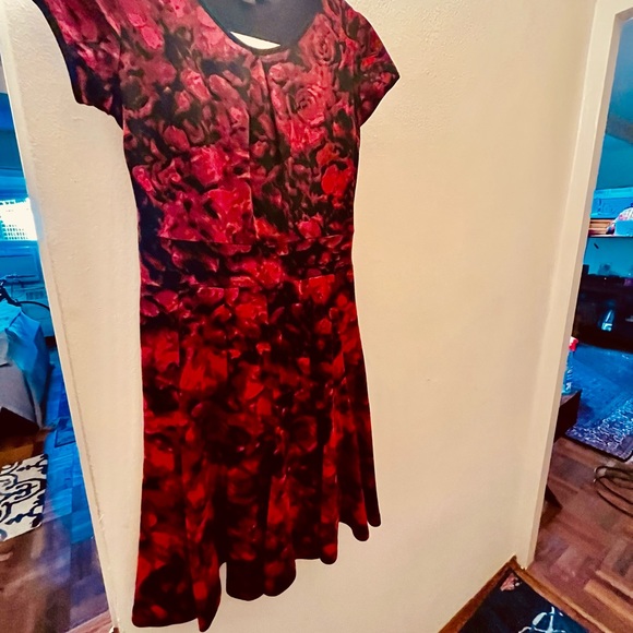 Binh ha dress - Picture 3 of 4